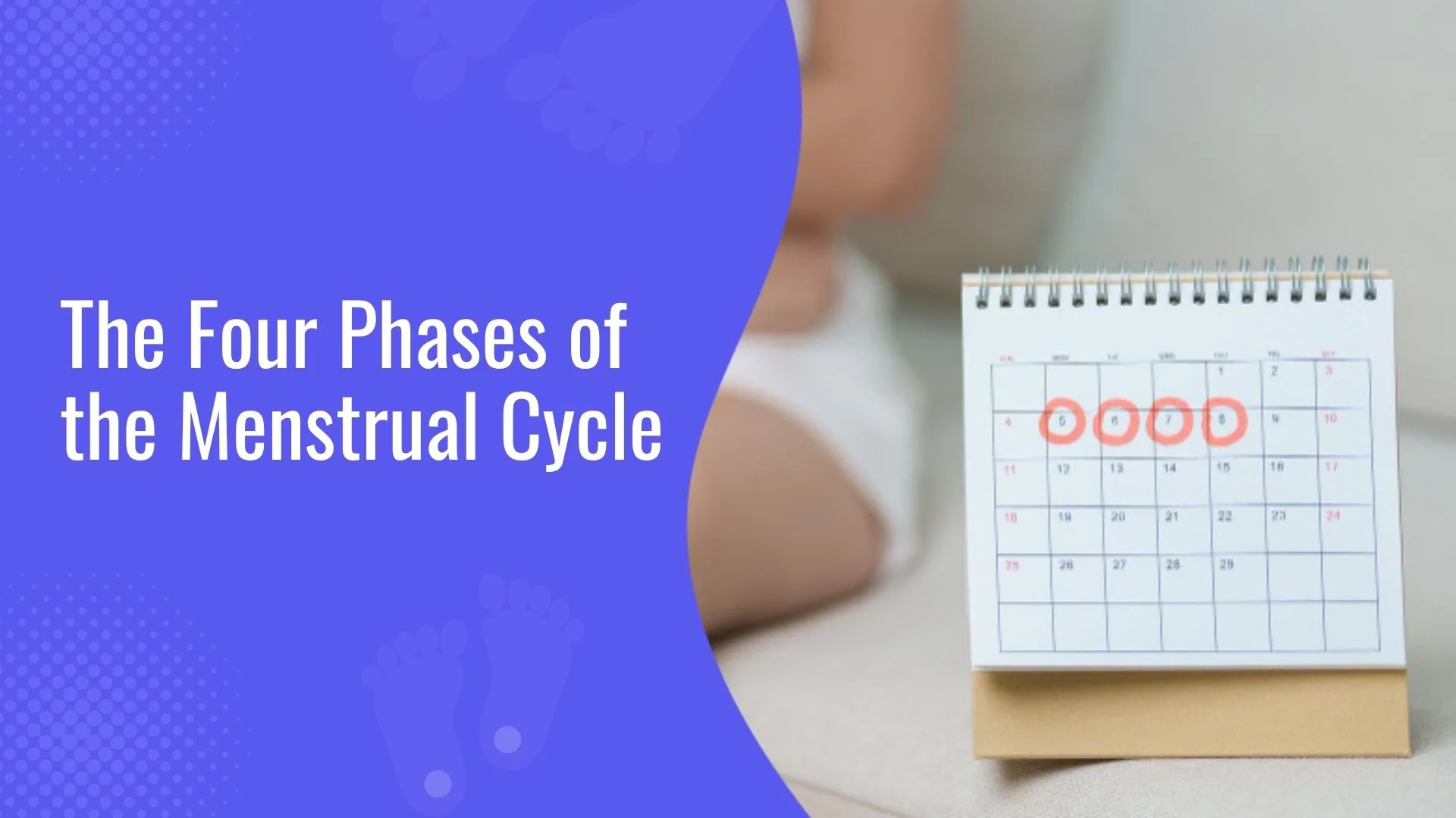 The Four Phases of the Menstrual Cycle