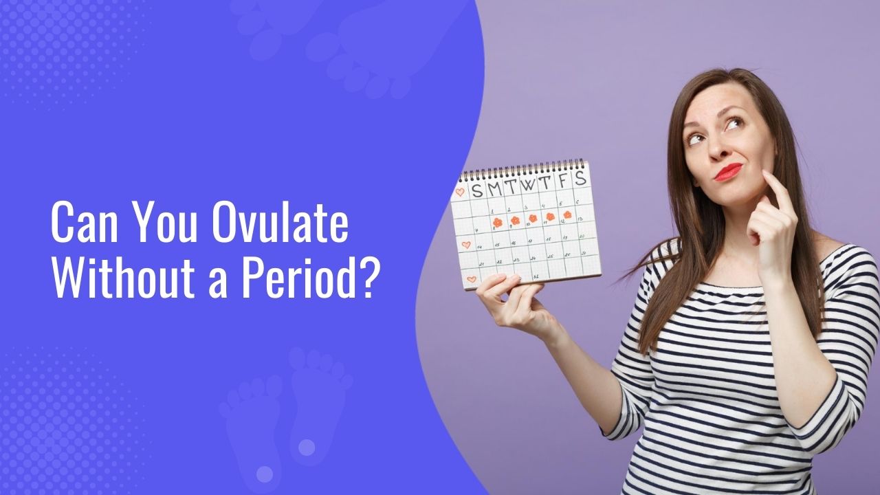 Can You Ovulate Without a Period?