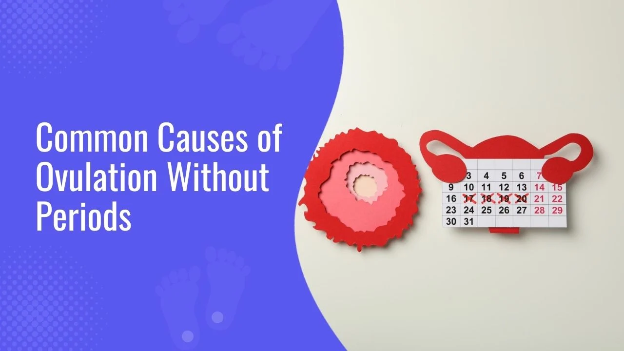 Common Causes of Ovulation Without Periods
