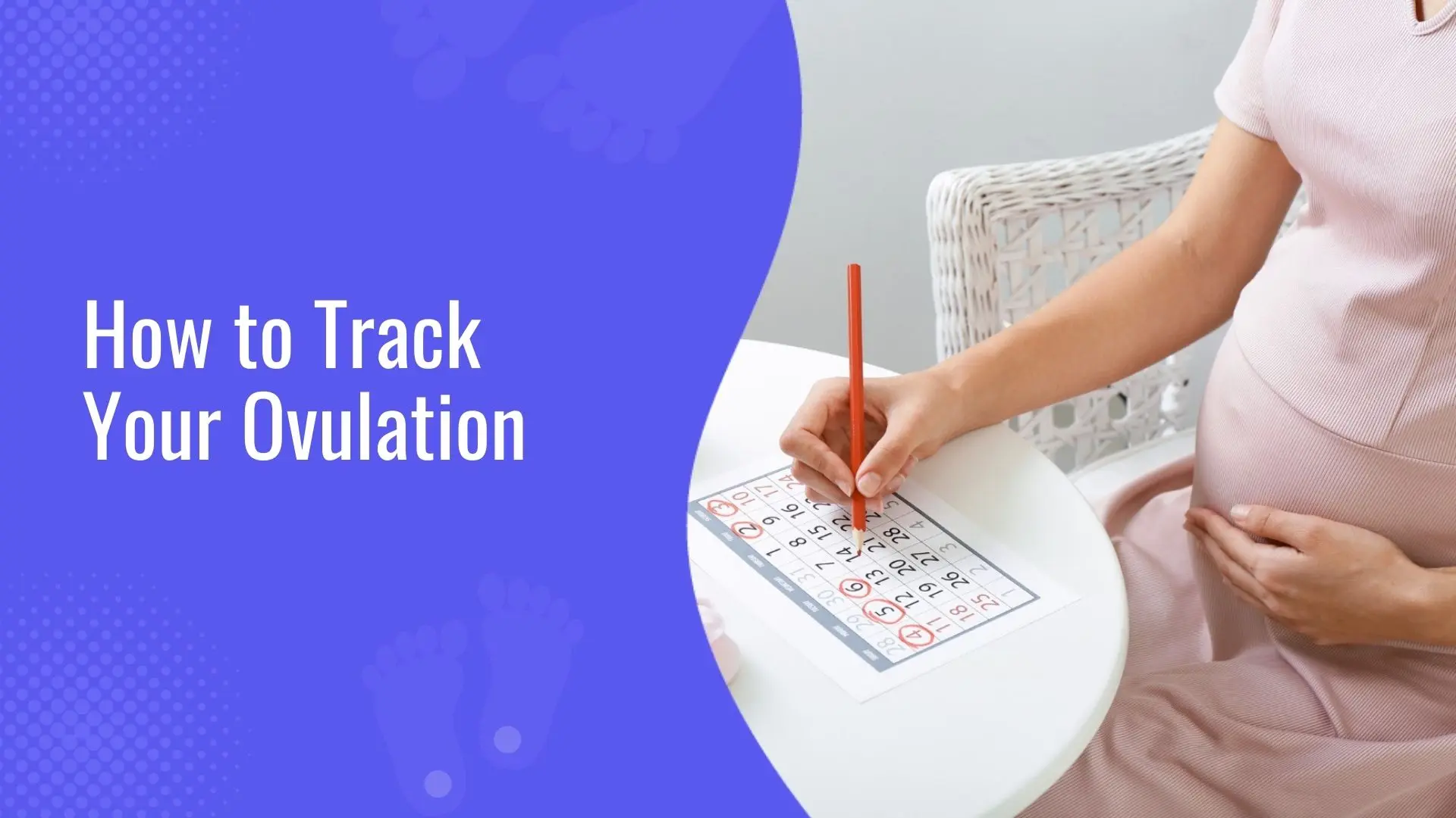 How to Track Your Ovulation