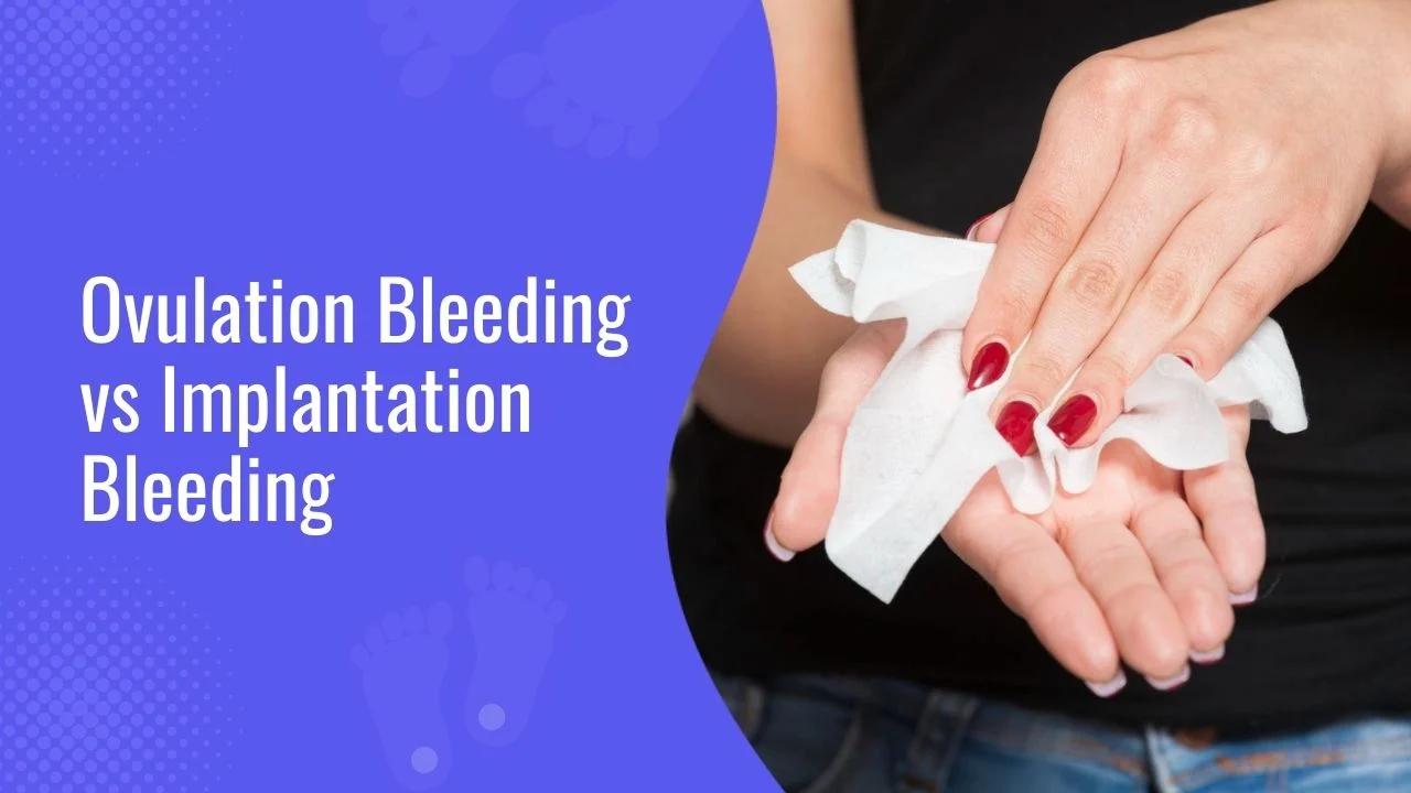 Ovulation Bleeding vs Implantation Bleeding