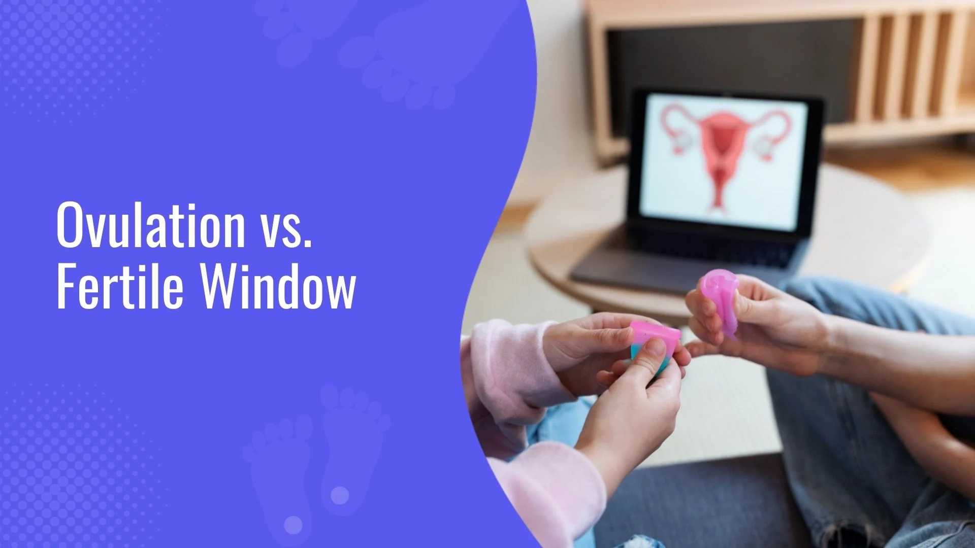 Ovulation vs. Fertile Window