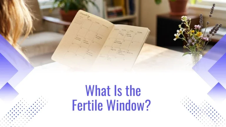 What Is the Fertile Window